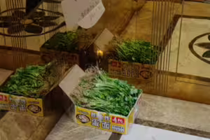 鄰居在電梯大方分享「老家種的香菜」 他問:該拿嗎?網一看秒搖頭 鄰居在電梯大方分享「老家種的香菜」 他問:該拿嗎?網一看秒搖頭