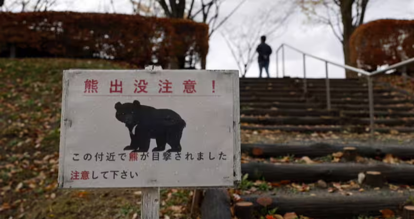 日拉麵店員工把熊打跑繼續上班！老闆曝「超狂背景」：是傳奇
