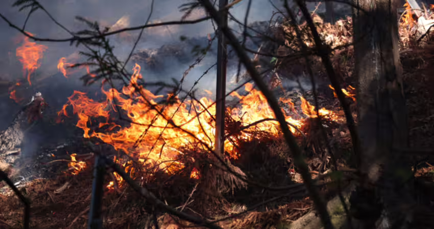 日本驚爆重大災情　多達3000人緊急避難