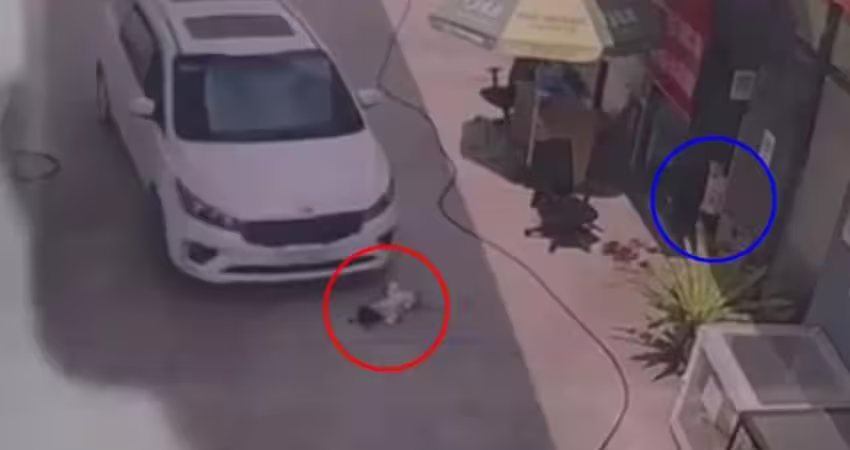 加油站長放任車道打滾　2歲女慘遭休旅車輾過