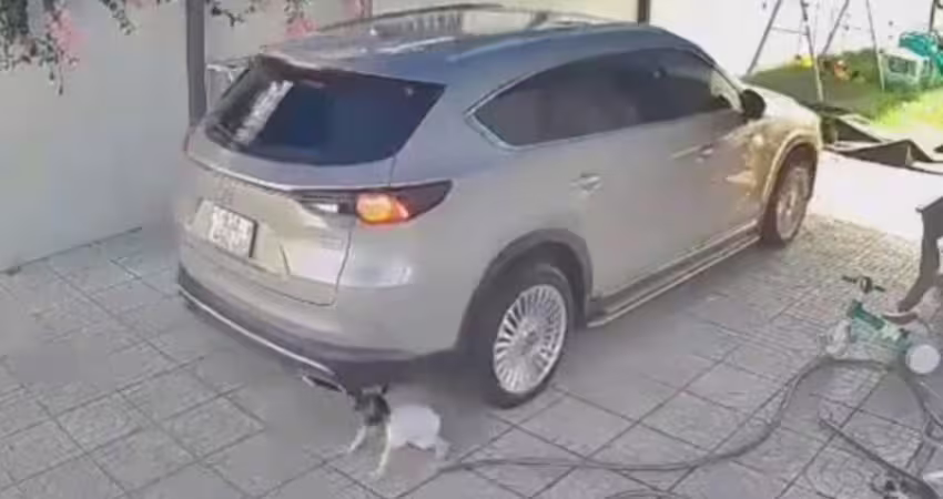 車輛倒車意外！女童誤入盲區遭兩度輾過