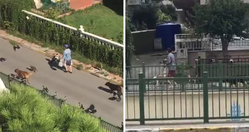 超像童話故事！神秘女一出門小動物全護送　鄰居揭驚人真相