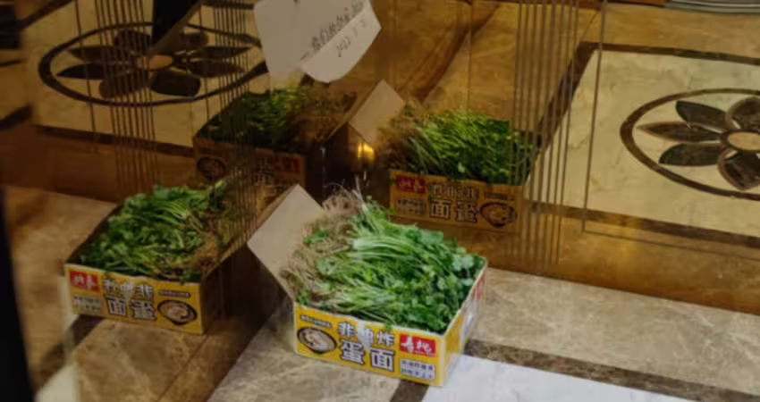 鄰居在電梯大方分享「老家種的香菜」　他問：該拿嗎？網一看秒搖頭