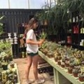 占卜你的幸福與什麼有關