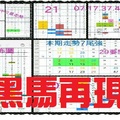 【一五八】10月11日黑馬再現~隨緣~本期走勢7強尾！