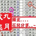 【九月玫瑰】01月10日....獨支....花兒分享..~✿