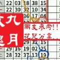 【九月玫瑰】「今彩539」02月03日 兩支參考!!花兒分享..~✿