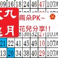 六合版九月玫瑰15帖07月07日兩朵PK花兒分享最美兩枝花