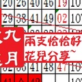 2018六合花九月玫瑰用心就會看到07月19日兩支恰恰好