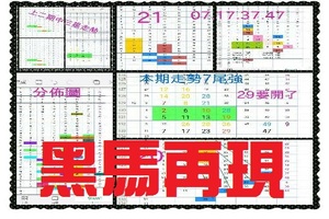 【一五八】10月11日黑馬再現~隨緣~本期走勢7強尾！