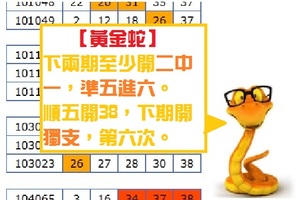 【黃金蛇】金彩11月07日獨支、二中一參考！