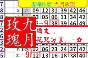 【九月玫瑰】12月03日獨支..花兒分享..~✿