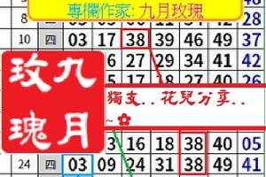 【九月玫瑰】12月08日....獨支....花兒分享..~✿