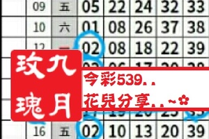 【九月玫瑰】12月19日今彩539..花兒分享..~✿
