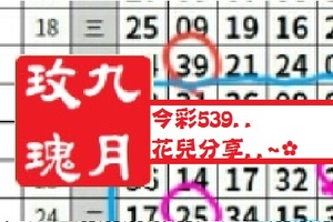 【九月玫瑰】12月21日今彩539..花兒分享..~✿