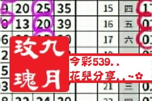 【九月玫瑰】12月26日今彩539..花兒分享..~✿