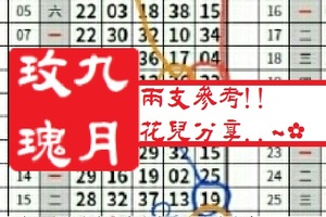 【九月玫瑰】「今彩539」02月03日 兩支參考!!花兒分享..~✿