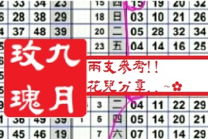   【九月玫瑰】「六合彩」02月04日 兩支參考!!花兒分享..~✿