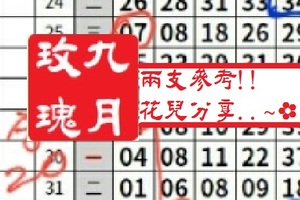 【九月玫瑰】「今彩539」02月06日 兩支參考!!花兒分享..~✿
