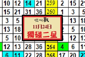 啞叫獸11月24日-獨碰二星準4進5今彩(精彩)出閘