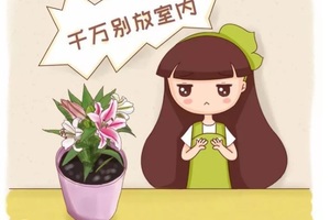 家裡有這些花注意了趕快扔否則身體越來越差….