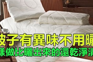 天氣潮濕被子也散發異味教你簡單一招完全不用曬卻比曬出來的還乾淨清香