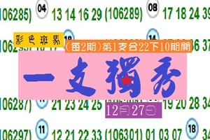 今彩539~~彩色斑馬明日之星!!12月27日 一支獨秀參考版~