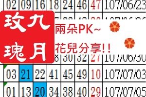 六合版九月玫瑰15帖07月07日兩朵PK花兒分享最美兩枝花