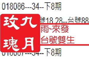 九月玫瑰雨來發~台號雙生08月23日六合版鳩讚喔~