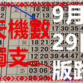 (09/29)六合彩 六合【獨碰+獨支專欄】天機數~港號~版路