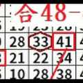 11月17日 六合彩 九月玫瑰 獨碰二星 順勢而走