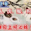 兔、馬、虎、猴、狗、蛇！注意了！1月11日必轉！大吉