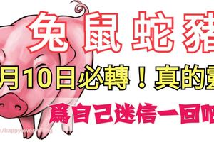 屬兔、鼠、蛇、豬的人，注意了！1月10日必轉！真的靈！