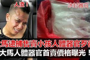 【大马成功逮捕售卖小孩人体器官歹徒】警察于黑木山成功拦截一辆售卖小孩人体器官的恶魔！心脏：RMXXX