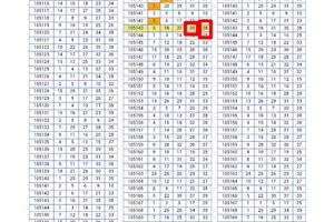 7月23日 539  九月玫瑰參考 P1 也二支