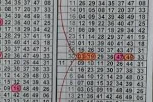 (07/30) 六合 準第31個月3中1..((養車立柱用3中1參考..