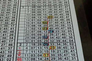 (08/04)六合彩88期.精緻版路參考.13版.物超所值