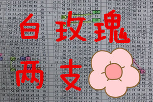 9月13日 六合彩 白玫瑰 兩支精選