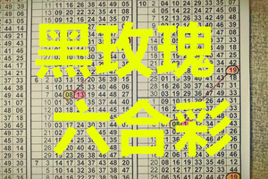 9月13日黑玫瑰 六合彩 二中一