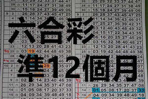 9月15日 六合彩 準12個月 ~獨碰兩隻