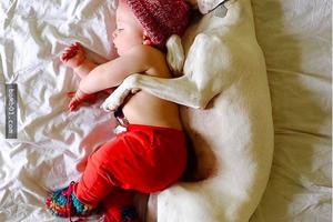 8歲的狗狗被人類虐待到不再相信任何人直到它遇小寶寶…它變了！