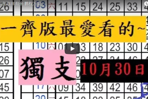  10/31六合 年年有余 鹏程万里