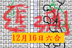 12月16日六合開二星單超高確尾專達車準星碰