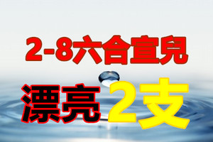 2月8日六合 ♨漂亮兩隻專車☯♡♡