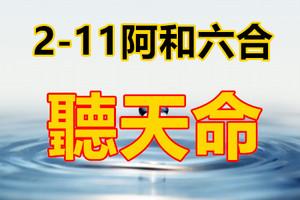 2月11日六合呢☆喃盡人事◍ ?聽天命!✓