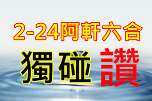 2月24日六合好運單支一 年 復 始 .萬 象 新