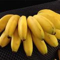 每天吃兩根香蕉，1個月後你會發現自己的身體出現驚人的變化！