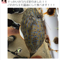 熱愛釣魚的他從海中釣到「剝皮魚」並打算做成生魚片，不料網友的回應卻讓人心涼了一半 