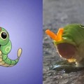 11隻Pokemon「原版生物」大公開！原來這不是亂畫