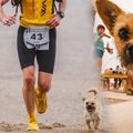 他參加「沙漠」馬拉松比賽，一隻流浪狗「堅持陪跑」，最後要带牠回家時卻遇上重重阻難，他跨越半個地球……